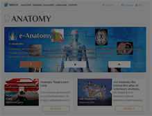 Tablet Screenshot of imaios.com